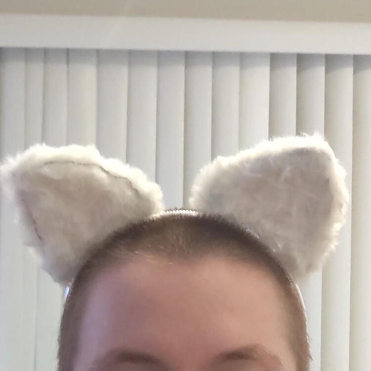 WHITE CAT EARS